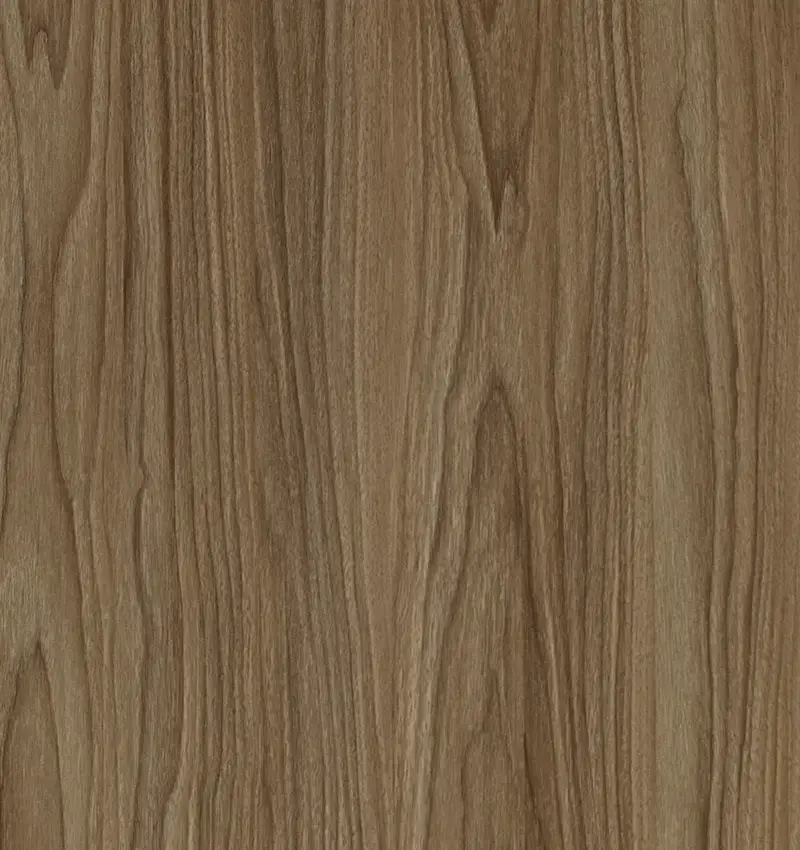 Roble turco 2.webp